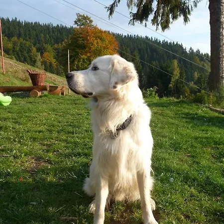 Horská chata Horská Skácelka *